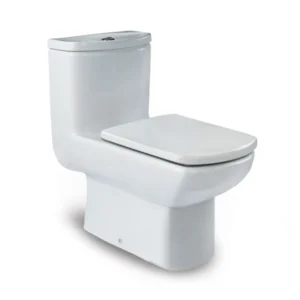 One-Piece Toilet