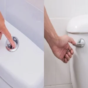 Dual Flush System