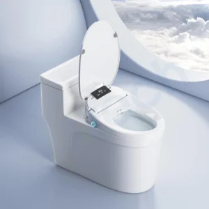 Electronic Bidet Seat