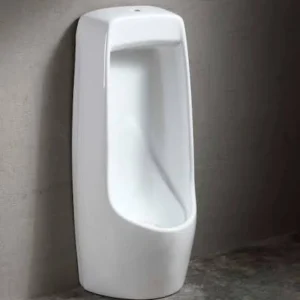 Floor-Standing Urinal