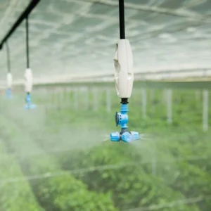 Hanging Foggers
