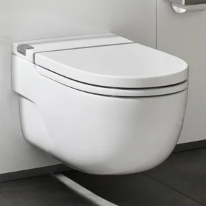 In-Tank Toilets