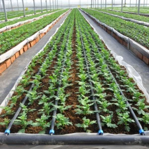 Inline Drip System