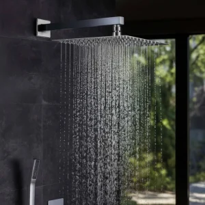 Shower Head