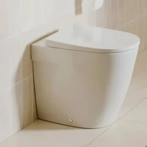 Single Floorstanding Toilets