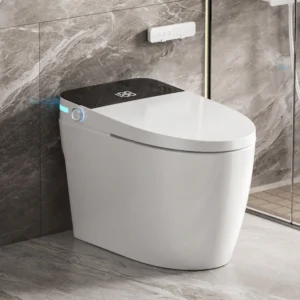 Smart Toilet