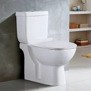 Two-Piece Toilet