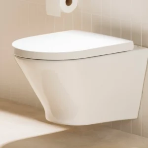 Wall-Hung Toilet